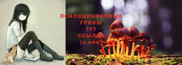прущая мука Вязьма