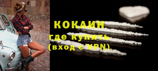 прущая мука Вяземский