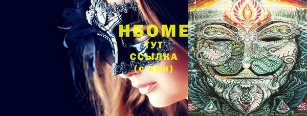 прущая мука Вяземский