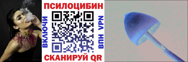 Псилоцибиновые грибы GOLDEN TEACHER  где купить наркоту  Сочи 